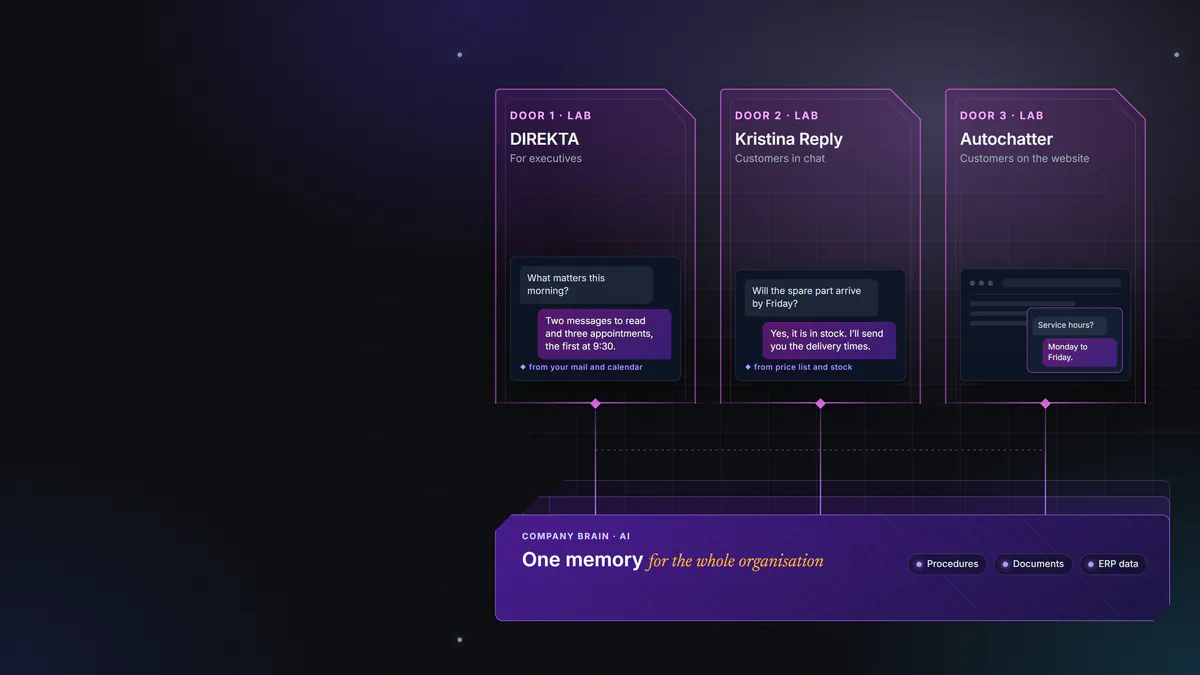 Diagram. The organisation’s memory sits at the centre, with three doors. One of them is DIREKTA, for executives.