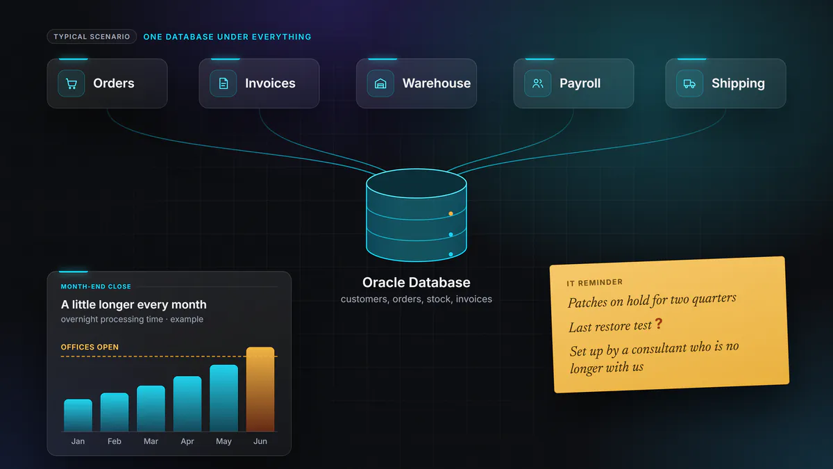 Example: orders, invoices, stock, payroll and shipments all run through the same Oracle database. The month-end close takes longer every month, until it runs past the time the offices open. A reminder flags patches stalled for two quarters, a restore test never verified and the person who set up the environment no longer with the company.